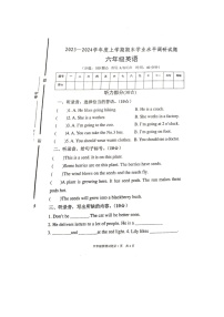 山东省临沂市罗庄区2023-2024学年六年级上学期1月期末英语试题
