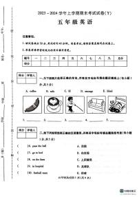 河南省漯河市舞阳县2023-2024学年五年级上学期期末考试英语试题