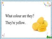 【湘少版】三下英语  Unit 3 What colour is balloon？（课件+教案+学案+素材）