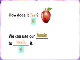 Module 1 Unit 1 Touch and feel  第1課時（課件+素材）2023--2023學(xué)年牛津上海版（三起）英語四年級下冊