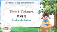 沪教牛津版(六三制三起)三年级下册unit1 colours说课ppt课件