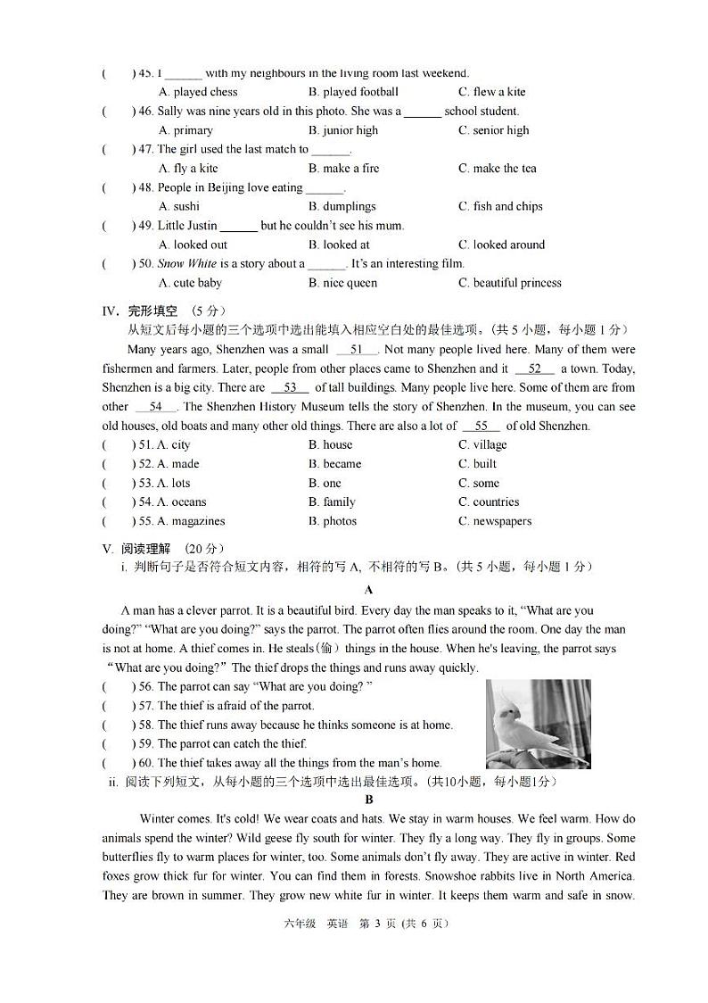 广东省深圳宝安区2023-2024六年级上册英语期末试卷第3页