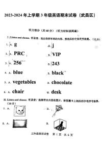 11，湖北省武汉市武昌区部分学校2023-2024学年三年级上学期期末英语试题(1)