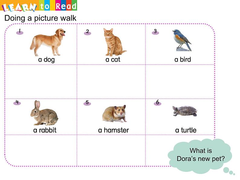 新思维小学英语1b_ch1Choosing a pet课件06