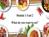 外研版英語六年級下冊 Module 1 Unit 2 What do you want to eat 教學課件+同步教案