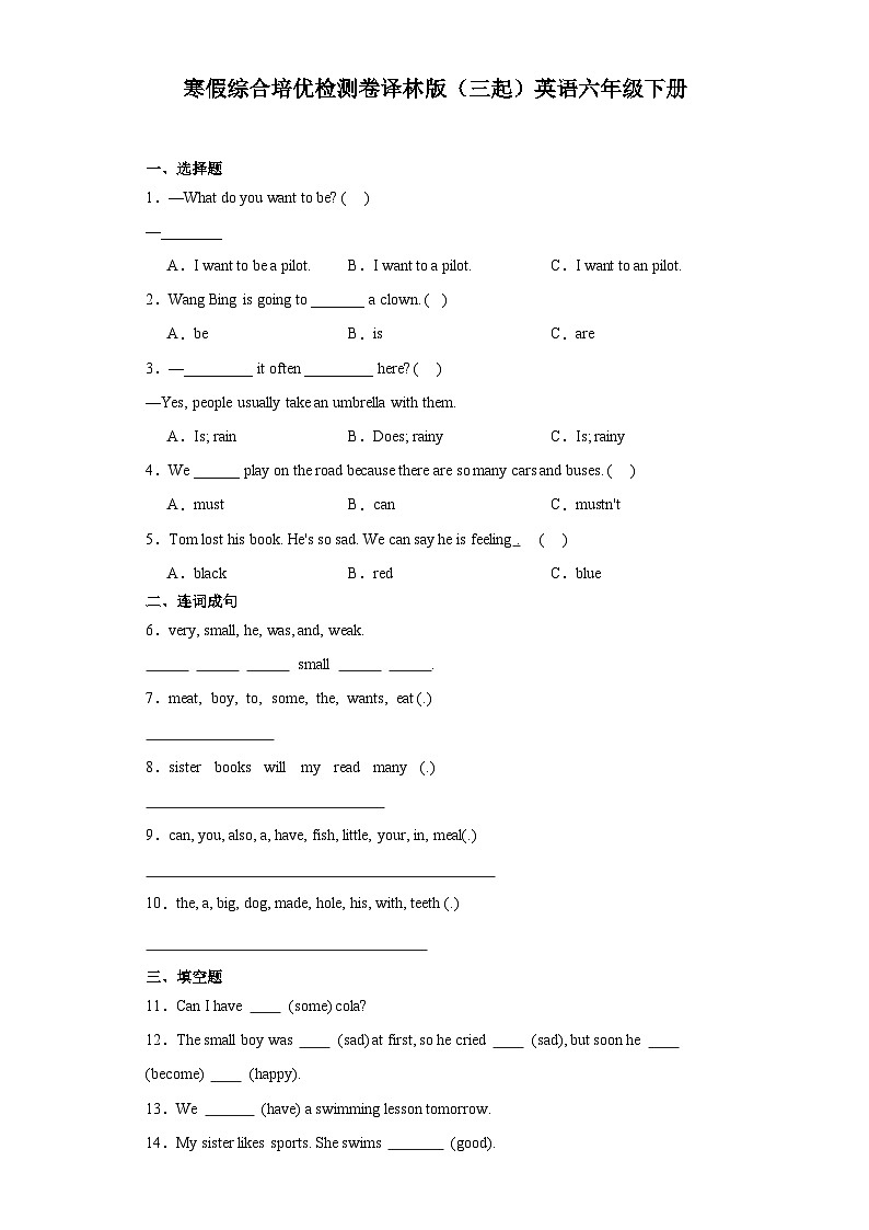 寒假综合培优检测（试题）-2023-2024学年译林版（三起）英语六年级下册01