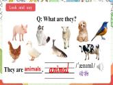 冀教版三起英语三下 Unit 1  Lesson 4 《Horses and rabbits》课件+素材