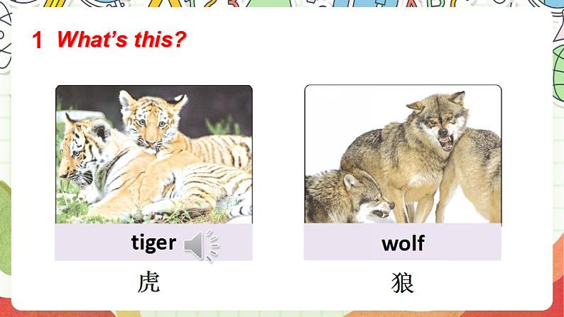 冀教版三起英语三下 Unit 2  Lesson 8 《Tigers and bears》课件+素材06