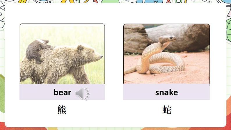 冀教版三起英语三下 Unit 2  Lesson 8 《Tigers and bears》课件+素材07