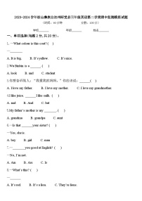 2023-2024学年凉山彝族自治州昭觉县三年级英语第二学期期中监测模拟试题含答案