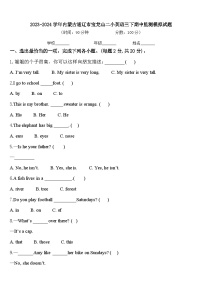 2023-2024学年内蒙古通辽市宝龙山二小英语三下期中监测模拟试题含答案