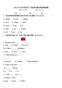 2023-2024学年乌苏市三下英语期中教学质量检测试题含答案