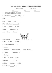 2023-2024学年周口市郸城县三下英语期中监测模拟试题含答案