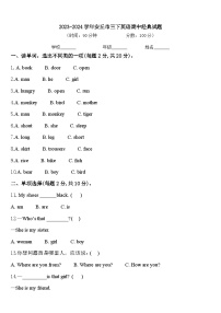 2023-2024学年安丘市三下英语期中经典试题含答案