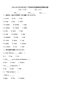 2023-2024学年宾川县三下英语期中质量跟踪监视模拟试题含答案