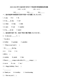 2023-2024学年大连市普兰店市三下英语期中质量跟踪监视试题含答案