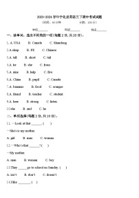 2023-2024学年宁化县英语三下期中考试试题含答案