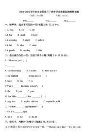 2023-2024学年如东县英语三下期中学业质量监测模拟试题含答案