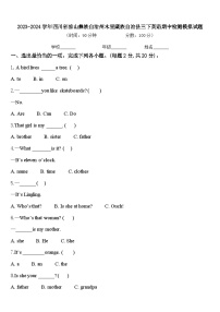 2023-2024学年四川省凉山彝族自治州木里藏族自治县三下英语期中检测模拟试题含答案