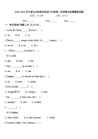 2023-2024学年崇左市扶绥县英语三年级第二学期期中监测模拟试题含答案