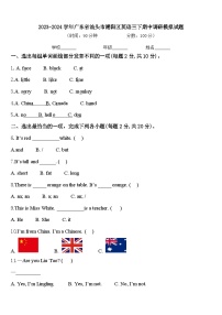 2023-2024学年广东省汕头市潮阳区英语三下期中调研模拟试题含答案