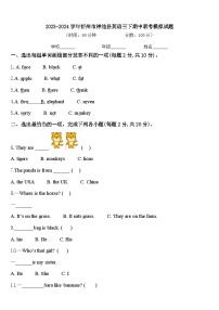 2023-2024学年忻州市神池县英语三下期中联考模拟试题含答案