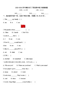 2023-2024学年廊坊市三下英语期中复习检测试题含答案