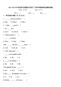 2023-2024学年张家界市武陵源区英语三下期中质量跟踪监视模拟试题含答案