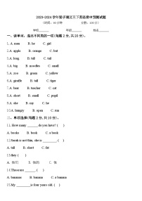 2023-2024学年梁子湖区三下英语期中预测试题含答案