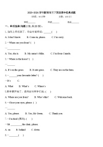 2023-2024学年新郑市三下英语期中经典试题含答案