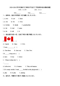 2023-2024学年河南省三门峡市卢氏县三下英语期中综合测试试题含答案