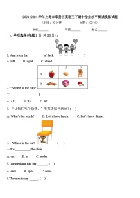 2023-2024学年上海市奉贤区英语三下期中学业水平测试模拟试题含答案