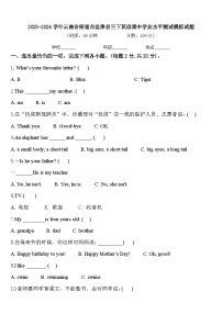 2023-2024学年云南省昭通市盐津县三下英语期中学业水平测试模拟试题含答案