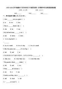 2023-2024学年福建省三明市沙县三年级英语第二学期期中学业质量监测试题含答案