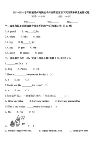 2023-2024学年福建漳州高新技术产业开发区三下英语期中质量检测试题含答案