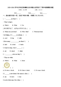 2023-2024学年红河哈尼族彝族自治州建水县英语三下期中检测模拟试题含答案