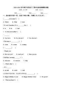 2023-2024学年绵竹市英语三下期中达标检测模拟试题含答案