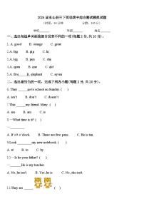 2024届东山县三下英语期中综合测试模拟试题含答案