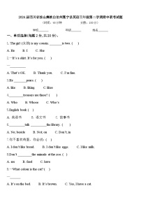 2024届四川省凉山彝族自治州冕宁县英语三年级第二学期期中联考试题含答案