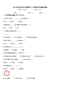 2024届四川省眉山市洪雅县三下英语期中考试模拟试题含答案