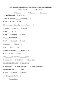 2024届湖北省孝感市孝昌县三年级英语第二学期期中联考模拟试题含答案