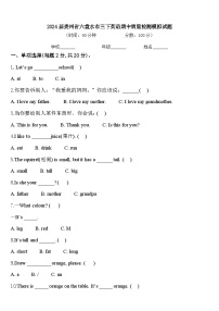 2024届贵州省六盘水市三下英语期中质量检测模拟试题含答案