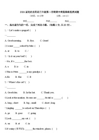 2024届美姑县英语三年级第二学期期中质量跟踪监视试题含答案