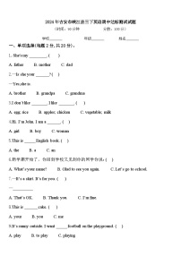 2024年吉安市峡江县三下英语期中达标测试试题含答案