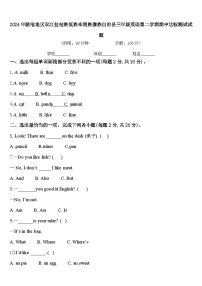 2024年临沧地区双江拉祜族佤族布朗族傣族自治县三年级英语第二学期期中达标测试试题含答案