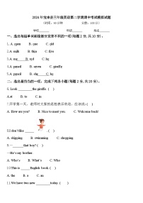 2024年宝丰县三年级英语第二学期期中考试模拟试题含答案