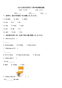 2024年武汉市英语三下期中统考模拟试题含答案
