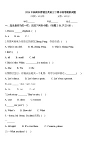 2024年株洲市荷塘区英语三下期中统考模拟试题含答案