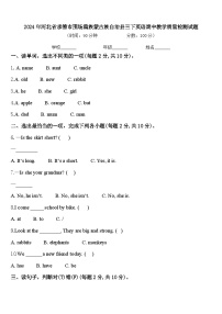 2024年河北省承德市围场满族蒙古族自治县三下英语期中教学质量检测试题含答案