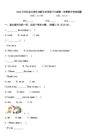 2024年河北省石家庄市新乐市英语三年级第二学期期中考试试题含答案